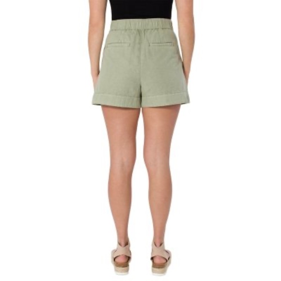 Joie | NWT Faded Cactus Pleated High Rise Washed Olive Green Shorts - Picture 2 of 14